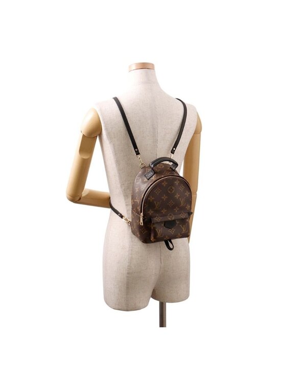 Louis Vuitton Monogram Palm Springs Backpack Mini Bag main image 7
